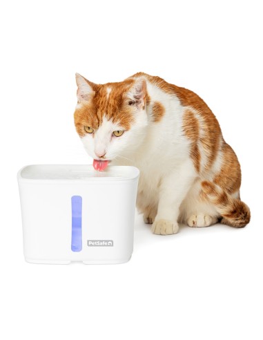 305I-PSPETSAFE-FUENTE-VIVA