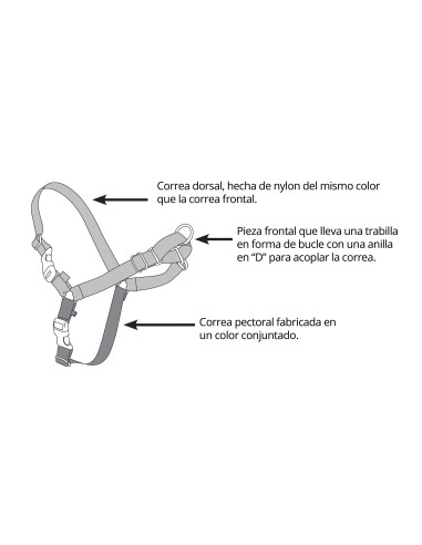 EASY WALK IMBRACATURA