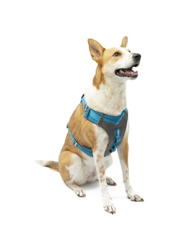 KURGO ARNES JOURNEY AIR