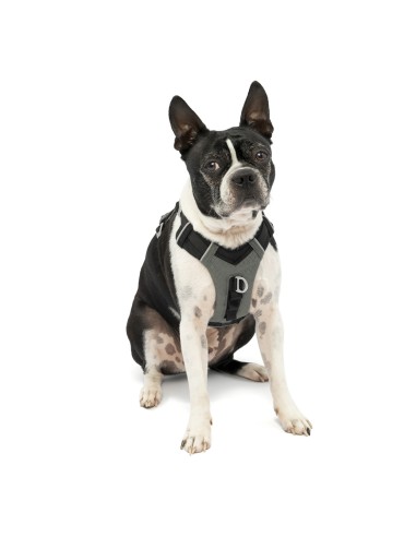 KURGO ARNES JOURNEY AIR