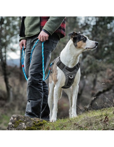 KURGO ARNES JOURNEY AIR