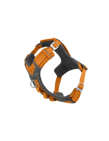 JORNADA AÉREA DE KURGO ARNES