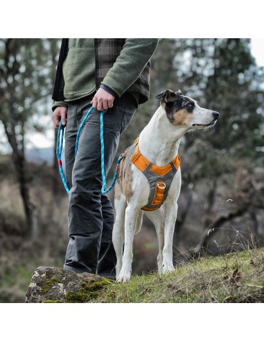 JORNADA AÉREA DE KURGO ARNES