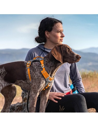 JORNADA AÉREA DE KURGO ARNES