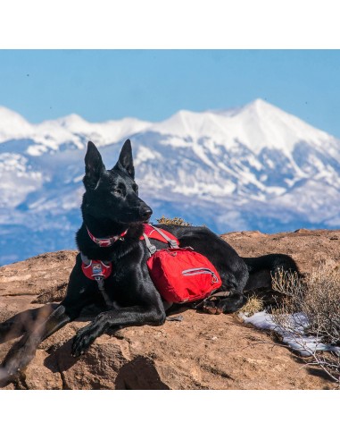 MOCHILA KURGO BAXTER