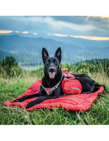 KURGO BAXTER RUCKSACK