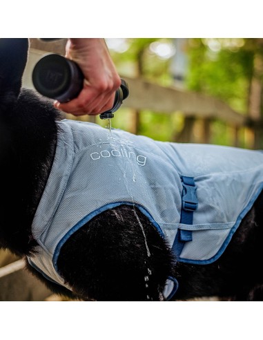 KURGO COOLING VEST