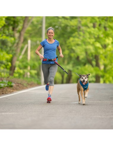 KURGO CORREA SPRINGBACK