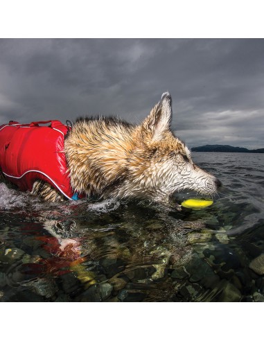 GIOCATTOLO PER SALTARE LE PIETRE KURGO