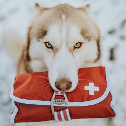 KIT DI PRIMO SOCCORSO KURGO 2