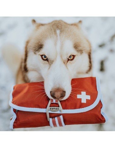 KURGO FIRST AID KIT
