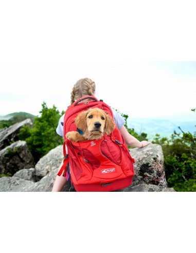 KURGO G TRAIN K9 BACKPACK