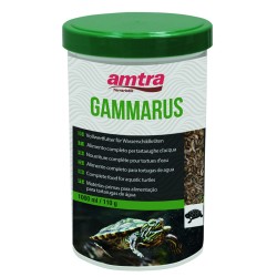 AMTRA GAMMARUS