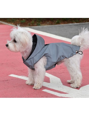 CHUBASQUERO CON CAPUCHA REFLECTANTE SPORT