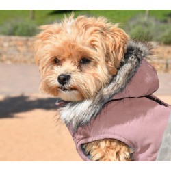 PINK CANADA HOODED JACKET 2