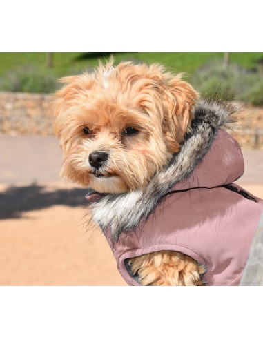 PINK CANADA HOODED JACKET