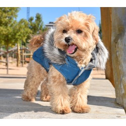 NAVY BLUE CANADA HOODED JACKET 2