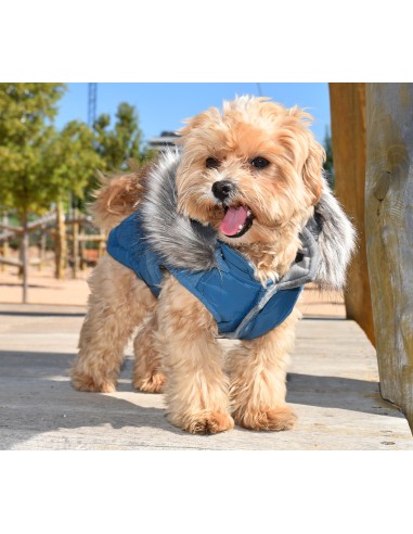 CHAQUETA CON CAPUCHA CANADA AZUL MARINO