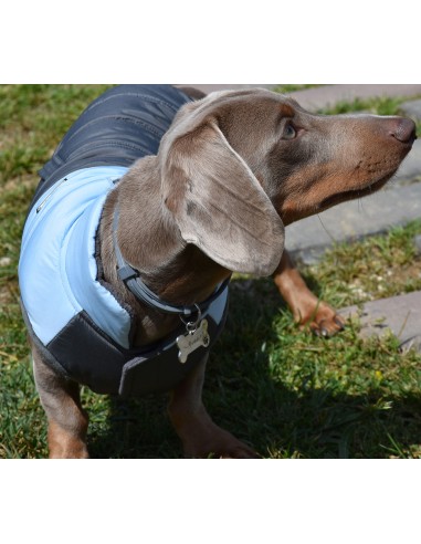 CHAQUETA MONTECARLO AZUL