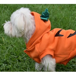 MOLETOM COM CAPUZ DE HALLOWEEN 2