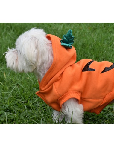 HALLOWEEN-KAPUZENPULLOVER