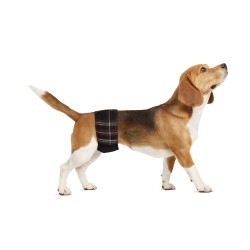 FAIXA HIGIÊNICA DE PANO MASCULINO 2