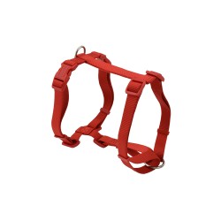 BASIC H HARNESS