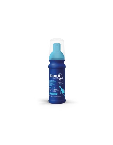DOUXO SPA MOUSSE HUND EXPRESSREINIGUNG