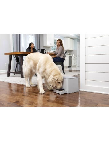 TEACH & TREAT REMOTE REWARD TRAINER