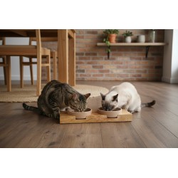 BAMBOO FEEDERS SET WITH MANGO WOOD STAND 2