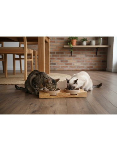 SET COMEDEROS BAMBU CON SOPORTE MADERA DE MANGO